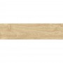 Керамогранит Ceramica Deseo Timber Redwood 20х80 См