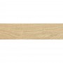 Керамогранит Ceramica Deseo Timber Redwood 20х80 См
