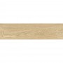 Керамогранит Ceramica Deseo Timber Redwood 20х80 См