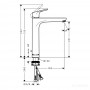 Смеситель для раковины Hansgrohe Focus 31531000