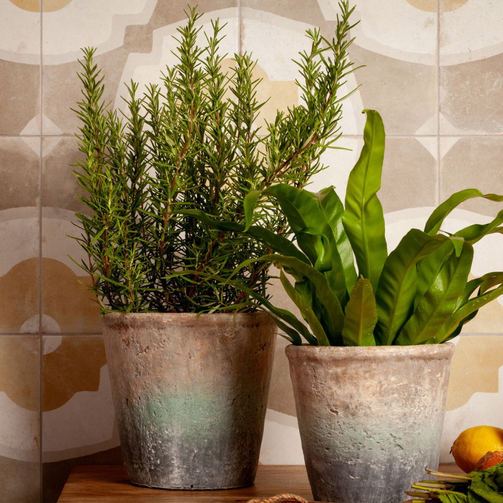Керамогранит Peronda Fs Farfalla Mustard/45x45x0,95 45x45 см