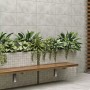 Мозаика Cersanit Dreaming Mosaic Light Grey 29,8х29,8 см