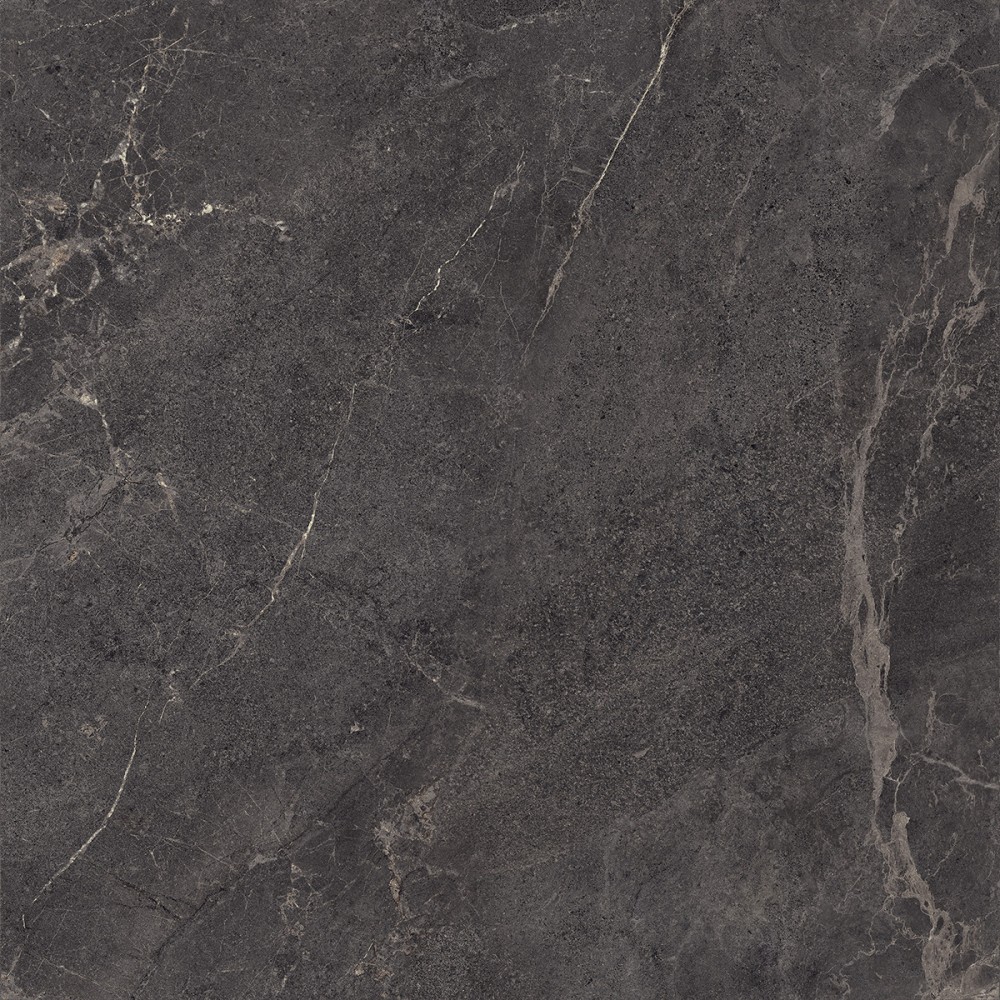 Керамогранит Almera Ceramica (Spain) P.E. Lithos Anthracite Mt Rect 100x100 см