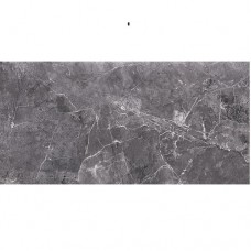 Плитка Opoczno Teneza Grey Glossy 29,7х60см