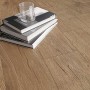 Керамогранит Cersanit Honeywood Brown 18,5x59,8 см