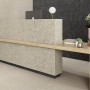 Керамогранит Argenta Ceramica Flodsten Earth 60x60 см