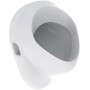 Писсуар подвесной Geberit Felix 502.895.00.1 белый глянец