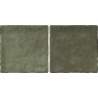 Керамогранит Almera Ceramica (Spain) Bright Salvia 10x20 см