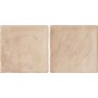 Керамогранит Almera Ceramica (Spain) Manual Salmon 10x20 см