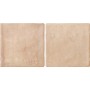 Керамогранит Almera Ceramica (Spain) Manual Salmon 10x20 см