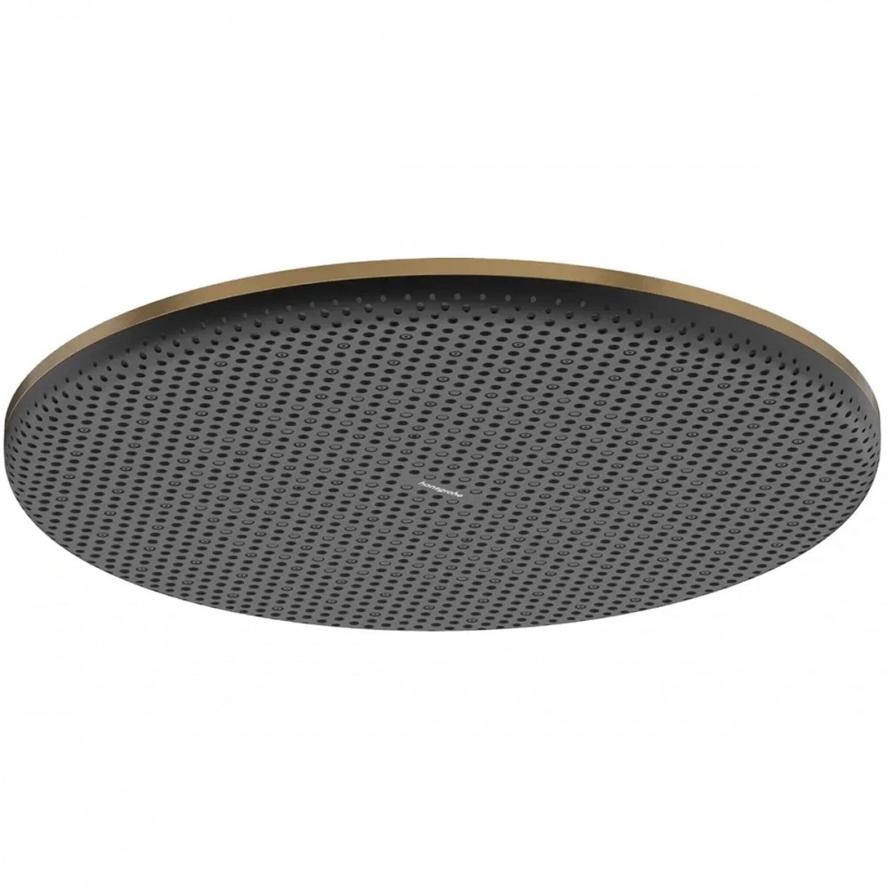 Верхний душ Hansgrohe Raindance Alive S 24520140 300 1jet матовая бронза
