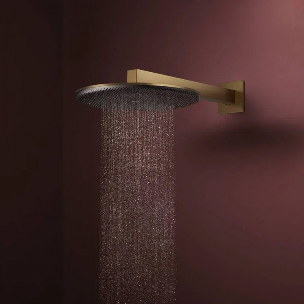 Верхний душ Hansgrohe Raindance Alive S 24520140 300 1jet матовая бронза