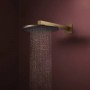 Верхний душ Hansgrohe Raindance Alive S 24520140 300 1jet матовая бронза