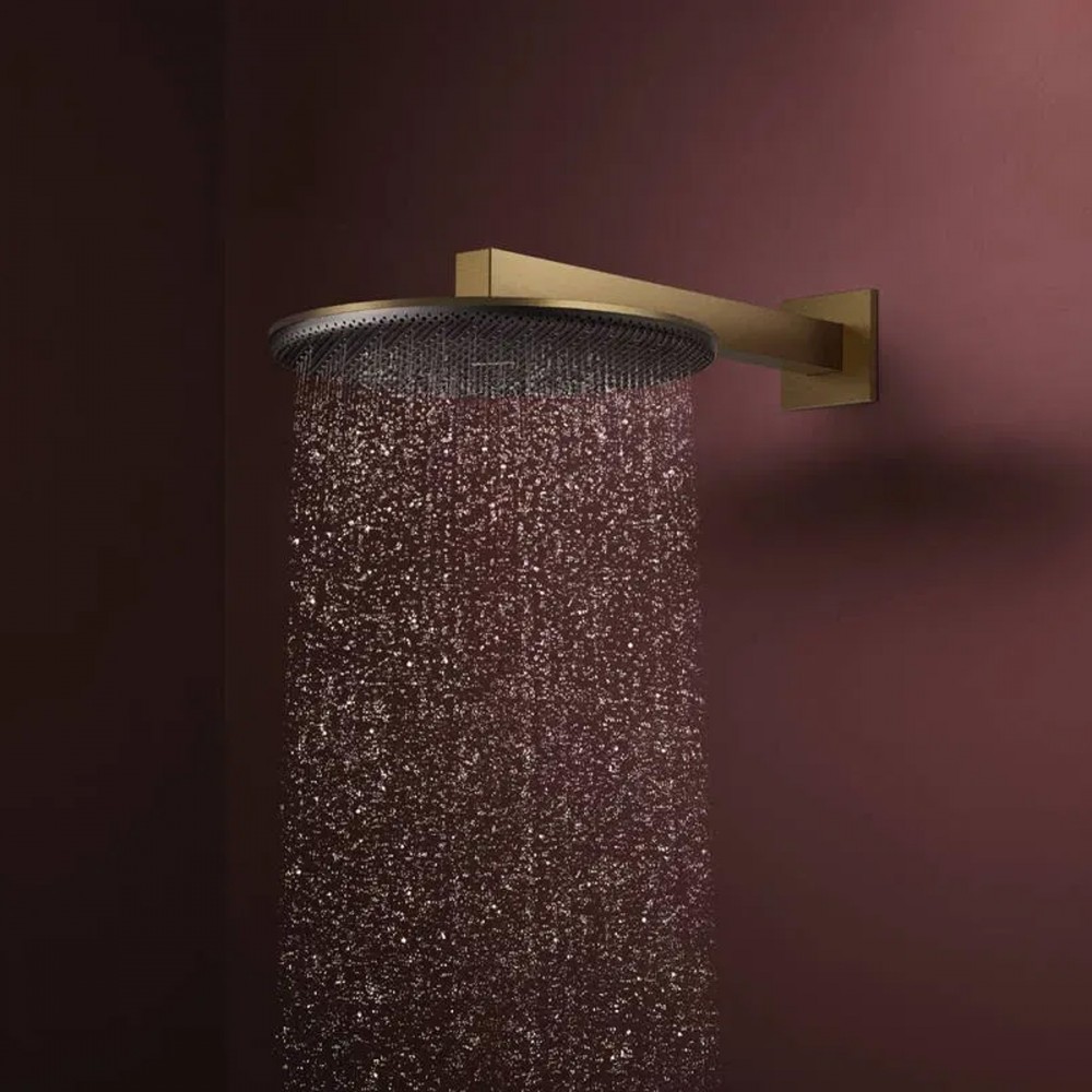 Верхний душ Hansgrohe Raindance Alive S 24520140 300 1jet матовая бронза