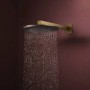 Верхний душ Hansgrohe Raindance Alive S 24520140 300 1jet матовая бронза