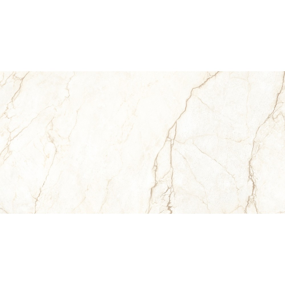 Керамогранит Almera Ceramica Ec.Alberi Blanco 60х120 см
