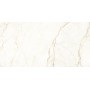 Керамогранит Almera Ceramica Ec.Alberi Blanco 60х120 см
