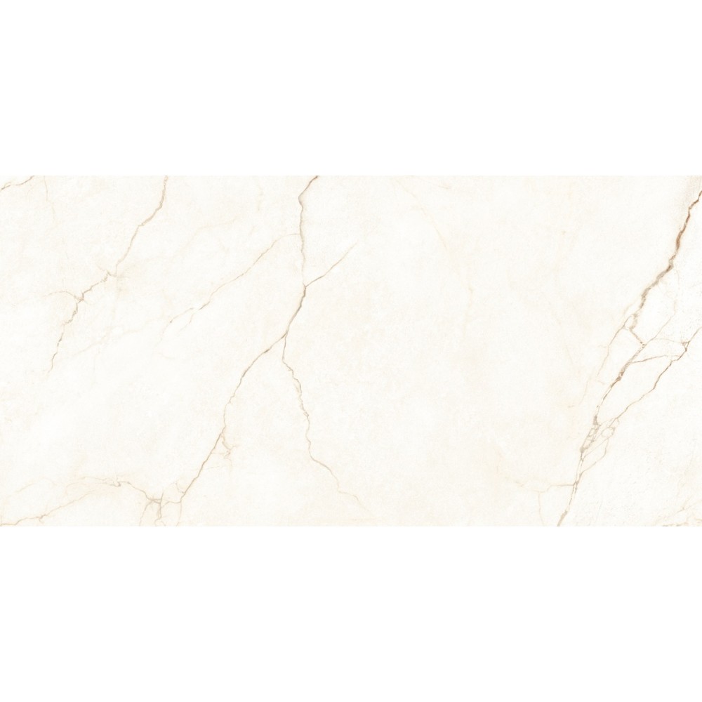 Керамогранит Almera Ceramica Ec.Alberi Blanco 60х120 см