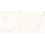 Керамогранит Almera Ceramica Ec.Alberi Blanco 60х120 см