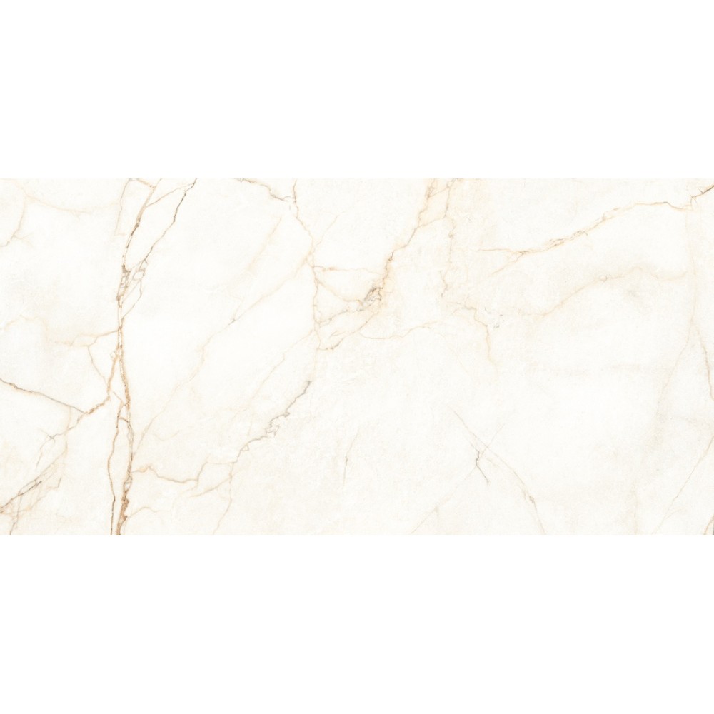 Керамогранит Almera Ceramica Ec.Alberi Blanco 60х120 см