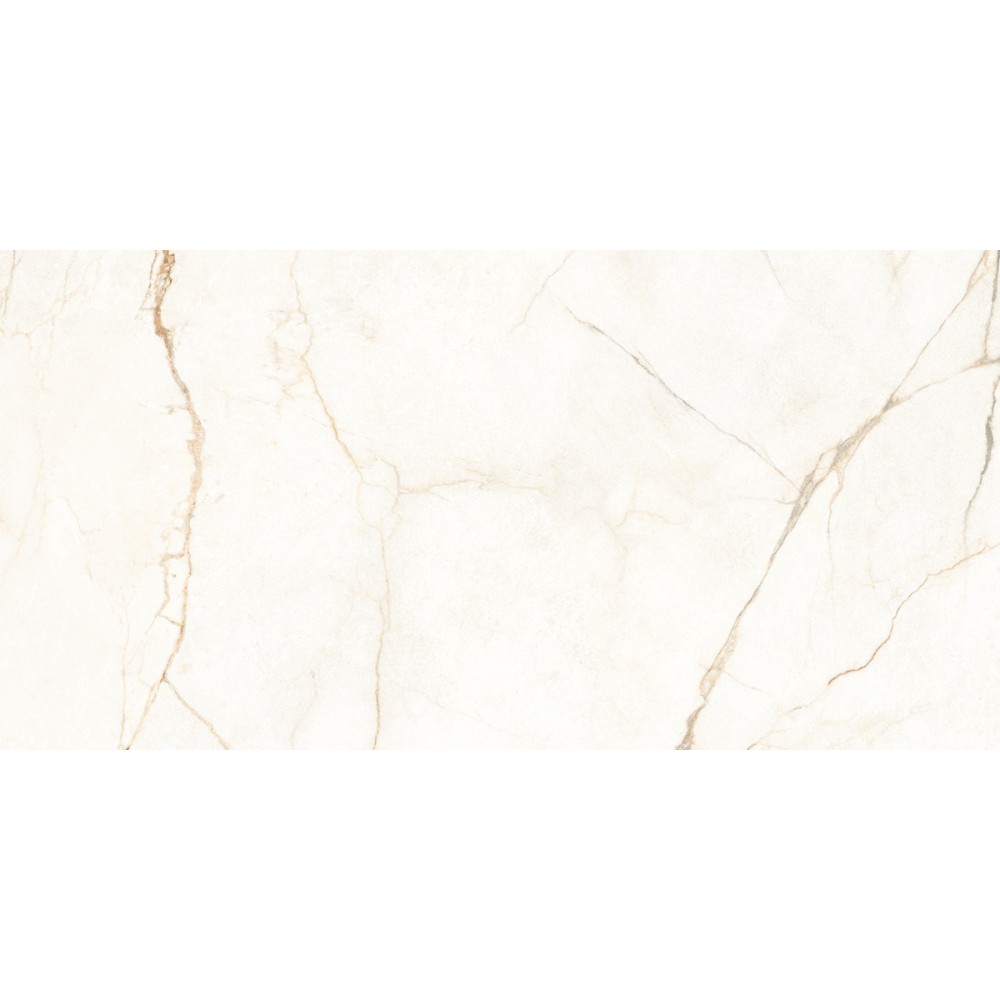Керамогранит Almera Ceramica Ec.Alberi Blanco 60х120 см