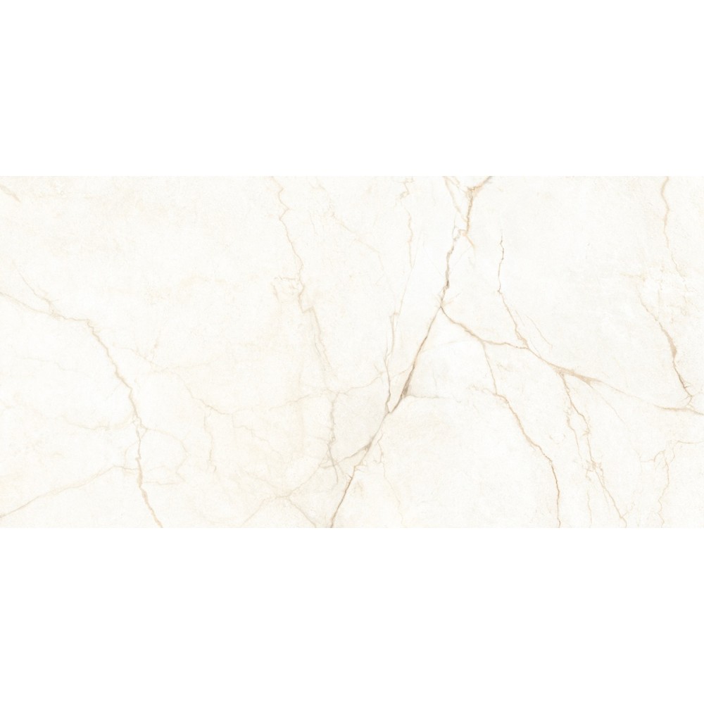 Керамогранит Almera Ceramica Ec.Alberi Blanco 60х120 см