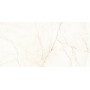 Керамогранит Almera Ceramica Ec.Alberi Blanco 60х120 см