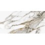 Керамогранит Almera Ceramica-2 JS612002 Rich Gold 60x120 см