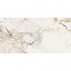Керамогранит La Faenza Aesthetica AE PAO6 12 RM 60х120 см Керамогранит La Faenza Aesthetica AE PAO6 12 RM 60х120 см