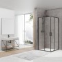 Душевая кабина Devit Art 2.0 FEN2240B 100х100 см профиль черный матовый, прозрачное стекло