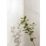 Керамогранит Imola The Room Abs Wh6 12 Rm 60x120 см