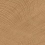 Керамогранит Emil Ceramica (Provenza) W-Circles ENJE WCI Walnut 10х10 см
