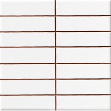 Плитка Ceramica Deseo Blanco brillo 2.5*10 20х20 см