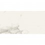 Керамогранит Almera Ceramica Carrara GQW8321M Mat 60x120 см