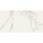 Керамогранит Almera Ceramica Carrara GQW8321M Mat 60x120 см