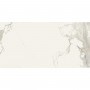 Керамогранит Almera Ceramica Carrara GQW8321M Mat 60x120 см