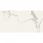 Керамогранит Almera Ceramica Carrara GQW8321M Mat 60x120 см