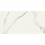 Керамогранит Almera Ceramica Carrara GQW8321M Mat 60x120 см