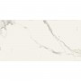 Керамогранит Almera Ceramica Carrara GQW8321M Mat 60x120 см