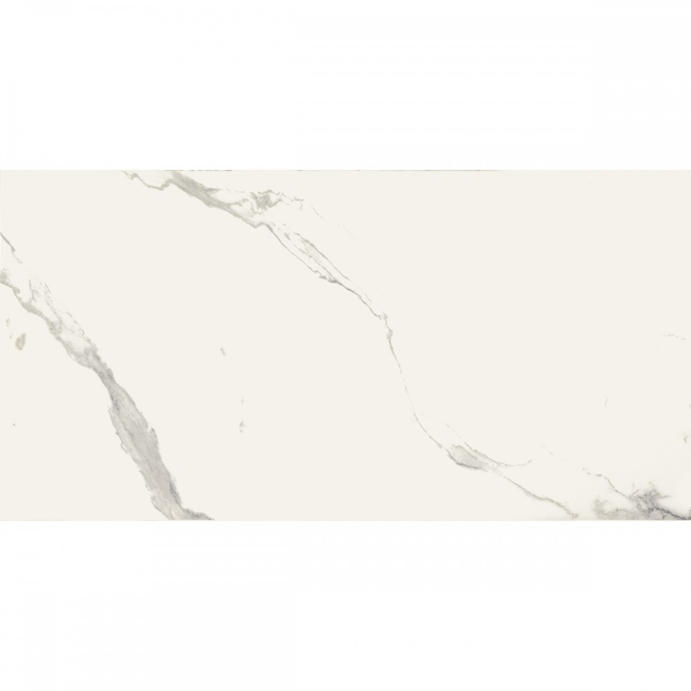Керамогранит Almera Ceramica Carrara GQW8321M Mat 60x120 см