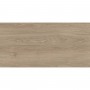Керамогранит Almera Ceramica-2 Holly Wood PF61216AJ Wooden 60x120 см