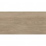 Керамогранит Almera Ceramica-2 Holly Wood PF61216AJ Wooden 60x120 см