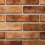 Керамогранит Golden Tile Seven Tones Оранж 34Р010 6х25 см