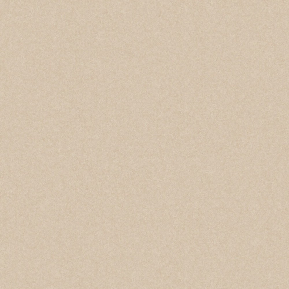Керамогранит Cerrad Gres Monolight Exterior Beige Rect. 60x60 см
