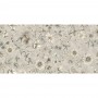 Плитка Argenta Kenzo Spring Ivory 60x120 см